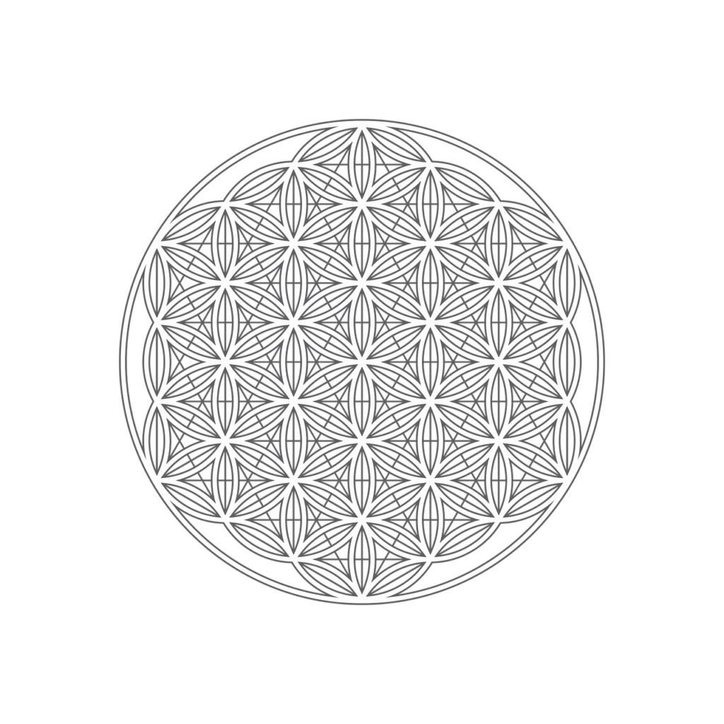 the flower of life flower geometry 7239256